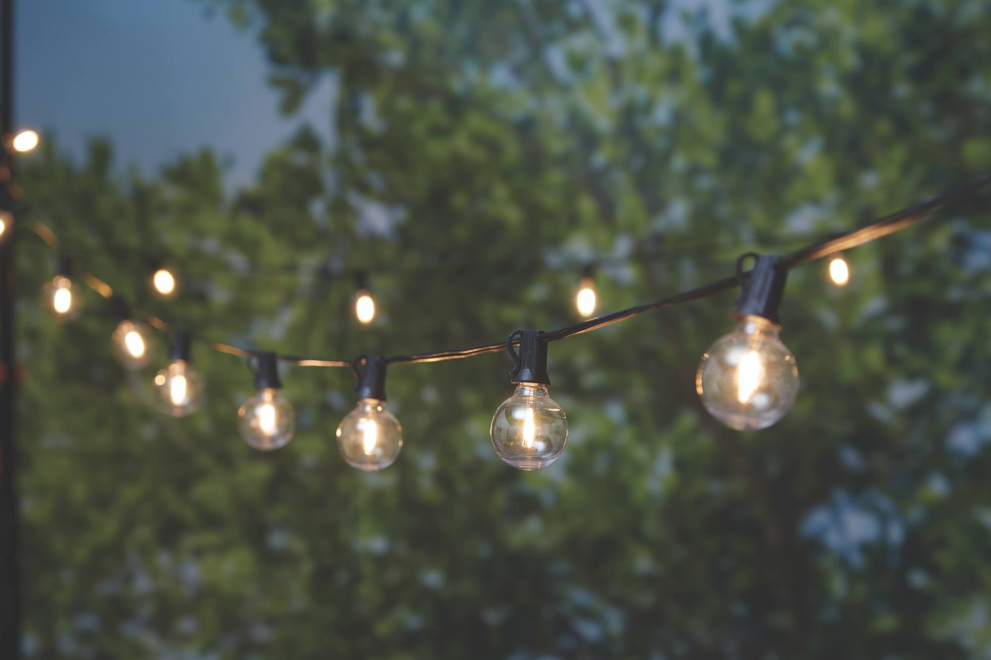 16ct. Shatterproof Black Globe Bulb LED String Lights by Ashland®